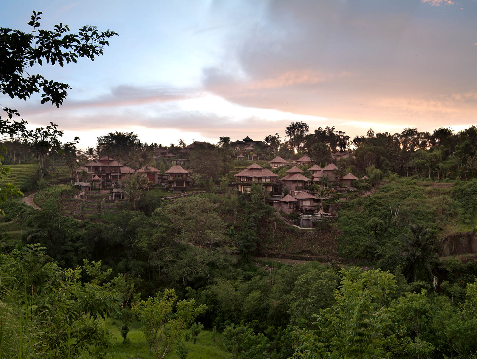 Panorama