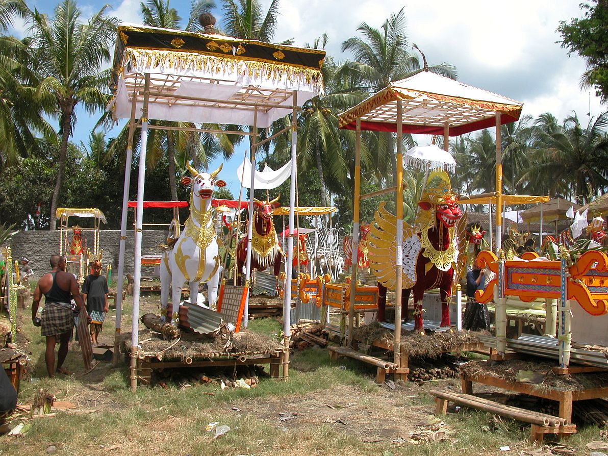 fest11